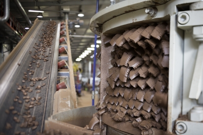 Preparation & shaping