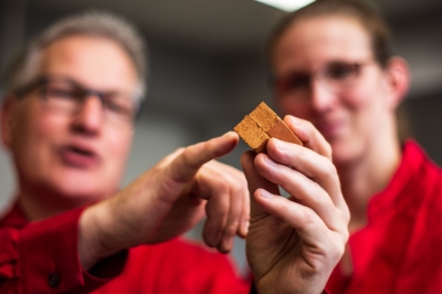 Laboruntersuchungen Schulung